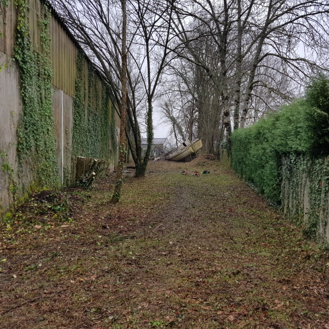 Après débroussaillage