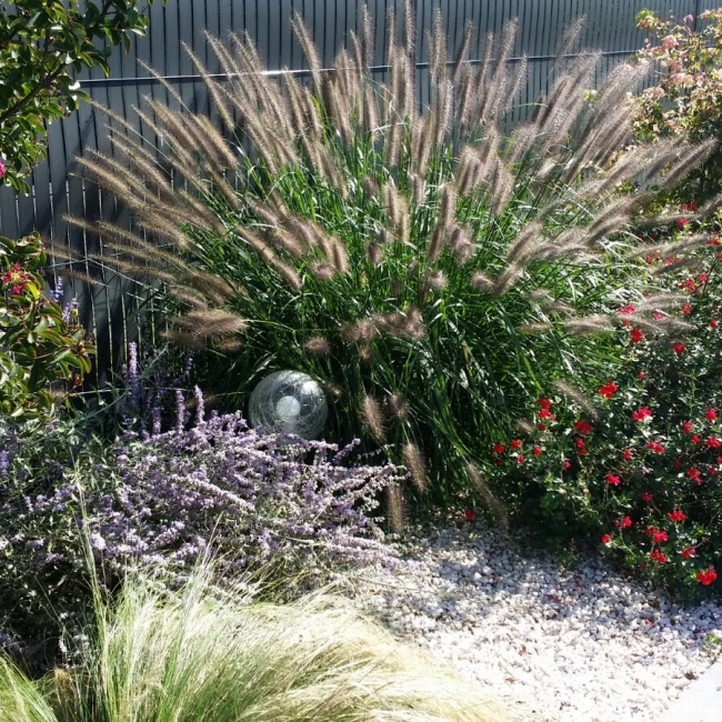 Aménagements piscine