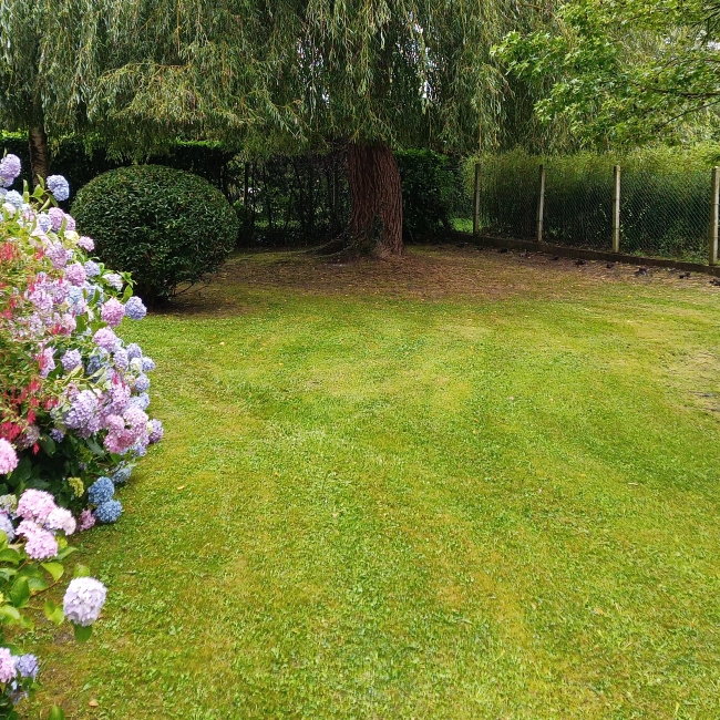 Contrats d'entretien