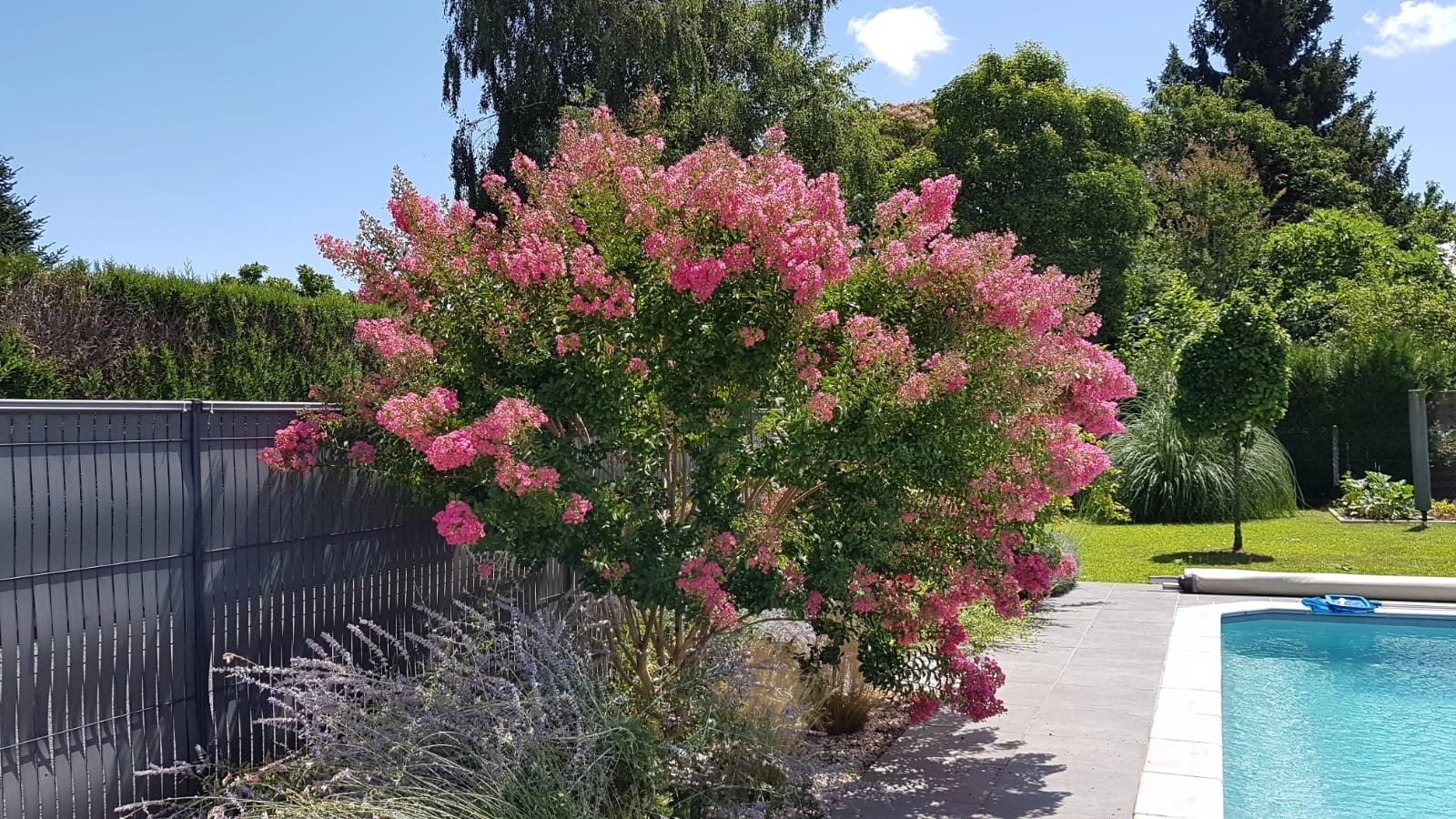 Aménagements piscine